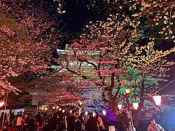 中イキ、処女、処女卒、処女卒業、女性用風俗、裏垢男子、膣イキ、ポルチオ開発、福岡、処女卒業サポート、中イキ開発、処女卒、ロストバージン、女風、膣イキ、ポルチオ開発